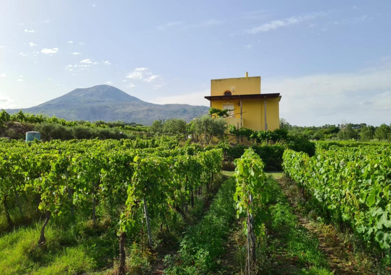 Vesuvio Inn Guest House E Wine Experience Boscotrecase Exterior foto
