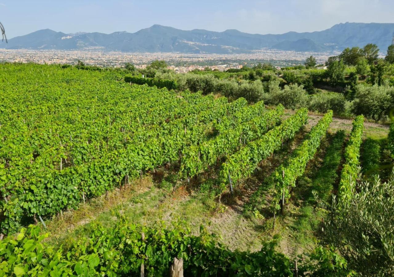 Vesuvio Inn Guest House E Wine Experience Boscotrecase Exterior foto