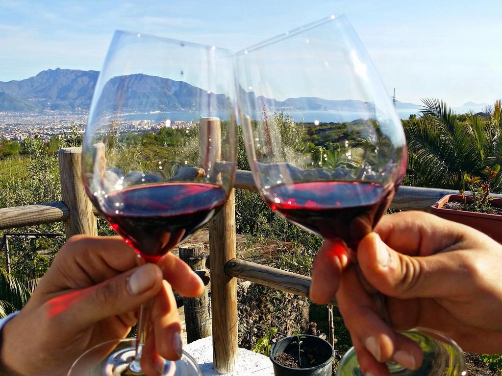Vesuvio Inn Guest House E Wine Experience Boscotrecase Exterior foto